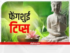 Feng Shui Tips for Aquarium: घर के एक्वेरियम में कितनी मछली होनी चाहिए? जान लें ये नियम