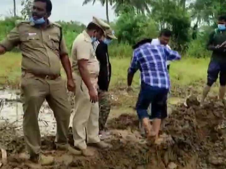 Tamil Nadu: Elephant Dies Of Electrocution On Farmland In Krishnagiri, Owner Held Tamil Nadu: Elephant Dies Of Electrocution On Farmland In Krishnagiri, Owner Held