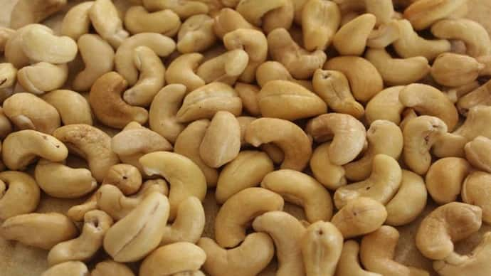 national-cashew-day-know-does-eating-cashews-really-increase-cholesterol National Cashew Day: શું કાજુ ખાવાથી ખરેખર કોલેસ્ટ્રોલ વધે છે? જાણો શું કહે છે એક્સપર્ટ