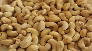 National Cashew Day: શું કાજુ ખાવાથી ખરેખર કોલેસ્ટ્રોલ વધે છે? જાણો શું કહે છે એક્સપર્ટ