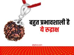 Rudraksha Benefit: नवग्रहों के अशुभ प्रभाव से बचाता है ये चमत्कारी रुद्राक्ष, जानें फायदे और कैसे करें इस्तेमाल