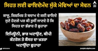 Chuhara In Winter : ਕਾਜੂ, ਕਿਸ਼ਮਿਸ਼ ਤੇ ਬਦਾਮ ਦੇ ਕਈ ਫਾਇਦੇ ਸੁਣੇ ਹੋਣਗੇ ਪਰ ਕੀ ਤੁਸੀਂ ਜਾਣਦੇ ਹੋ ਕਿ ਸਿਹਤ ਦਾ ਭੰਡਾਰ ਹੈ ਛੁਹਾਰਾ
