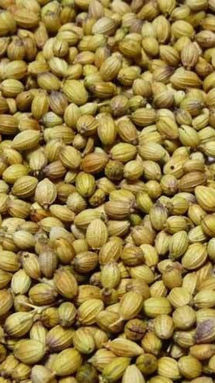 கொத்தமல்லி விதைகள்