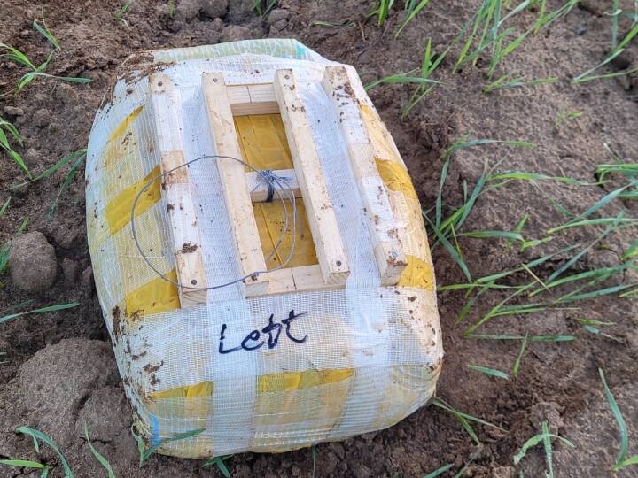 इस खेप का इस्तेमाल किसी भी अप्रिय घटना के लिए किया जा सकता था, लेकिन कोशिश नाकाम कर दी गई है.