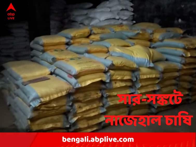 Kolkata : Fertilizer crisis in several districts before potato cultivation begins Fertilizer Crisis : এমআরপি ১৪০০, বিক্রি হচ্ছে প্রায় ২৫০০ টাকায় ! আলু চাষের মরশুমের আগে সার-সঙ্কট