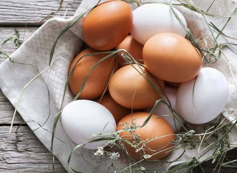 Egg for Health : White or Brown? Know which color egg is more beneficial for health Egg for Health : ਚਿੱਟਾ ਜਾਂ ਭੂਰਾ? ਜਾਣੋ ਕਿਸ ਰੰਗ ਦਾ ਆਂਡਾ ਸਿਹਤ ਲਈ ਹੁੰਦਾ ਜ਼ਿਆਦਾ ਫਾਇਦੇਮੰਦ