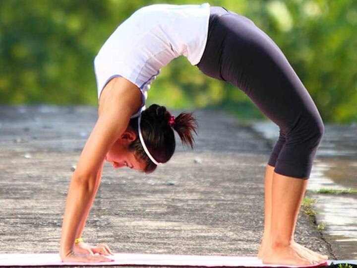 Yogasana In Winter : हिवाळ्यात 'ही' 3 योगासने करा; शरीर लवचिक होण्याबरोबरच हाडांचे दुखणेही दूर होईल