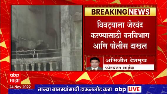 Kalyan Leopard : कल्याणातल्या चिंचपाडा रोड परिसरातील इमारतीमध्ये शिरला बिबट्या