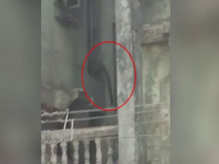 Leopard Attacks 3 persons In Residential Area Near Mumbai know details பதைபதைக்க வைத்த சம்பவம்.. குடியிருப்பு பகுதியில் மூன்று பேரை தாக்கிய சிறுத்தை.. அச்சத்தில் மக்கள்..!