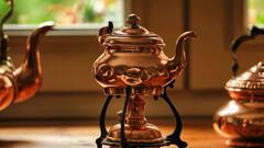 Kitchen Vastu: কীভাবে রান্নাঘরের বাস্তু ঠিক রেখে পরিবারকে ভালো রাখবেন ?