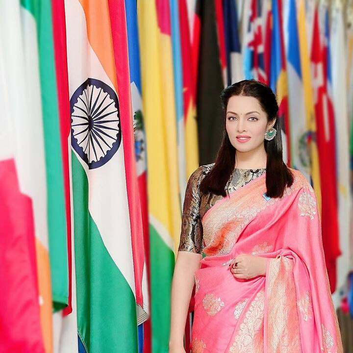 સૈન્ય પરિવારમાંથી આવતા સેલિના જેટલીએ એક ડઝનથી વધુ શાળાઓ બદલી છે. તેણે ઓડિશાની કોલેજમાંથી ગ્રેજ્યુએશન કર્યું છે.