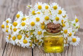 கண்களைச் சுற்றியுள்ள கருவளையங்களை குறைக்க இதை பயன்படுத்தலாம்.