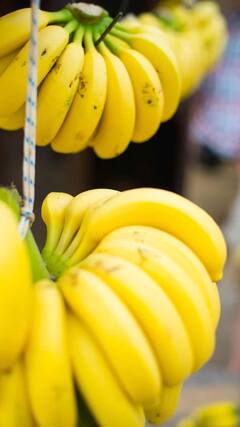 Banana Benefits in Winter : तुम्ही हिवाळ्यात केळी खाता का? जाणून घ्या रोज सकाळी खाण्याचे फायदे