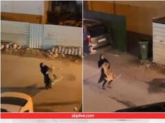 Video: ਦਹਾੜਦੀ ਸ਼ੇਰਨੀ ਨੂੰ ਆਪਣੀ ਗੋਦ 'ਚ ਚੁੱਕ ਕੇ ਲੈ ਗਈ ਔਰਤ, ਅਜਿਹਾ ਨਜ਼ਾਰਾ ਤੁਸੀਂ ਪਹਿਲਾਂ ਸ਼ਾਇਦ ਹੀ ਦੇਖਿਆ ਹੋਵੇਗਾ