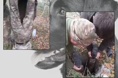 Watch Video: நாய்க்குட்டியைக் காப்பாற்றிய உக்ரைன் வீரர்கள்.. வைரலான நெகிழ்ச்சி வீடியோ..