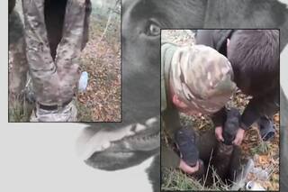 Watch Video: நாய்க்குட்டியைக் காப்பாற்றிய உக்ரைன் வீரர்கள்.. வைரலான நெகிழ்ச்சி வீடியோ..