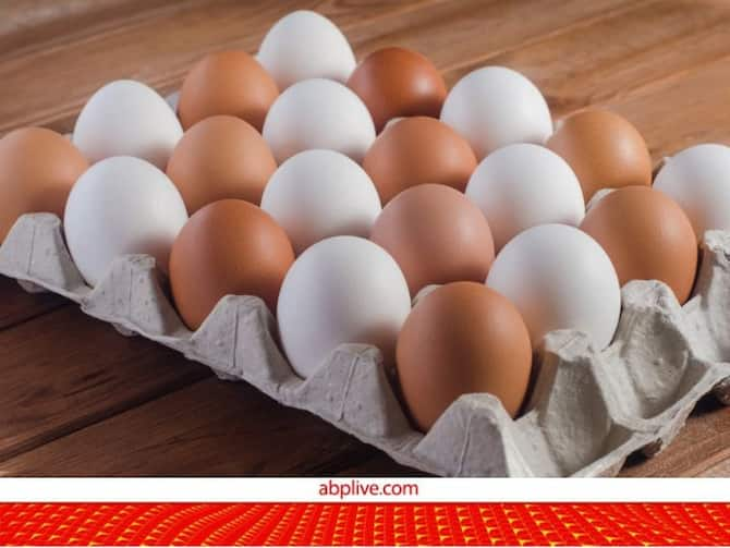 Types Of Eggs - Eggs 101