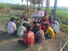 In Pics : उसतोड कामगारांसाठी डॉक्टर्स पोहोचले शेताच्या बांधावर; पुणे झेडपीचा अनोखा उपक्रम