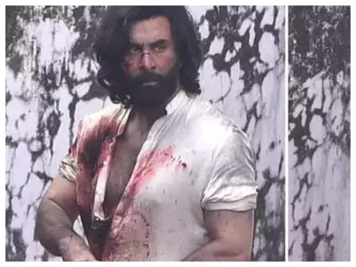 Ranbir Kapoor animal look pic viral from movie set details here चेहरे पर जख्म,खून में सने नजर आए Ranbir Kapoor, फोटो देख फैन्स को हुई चिंता!