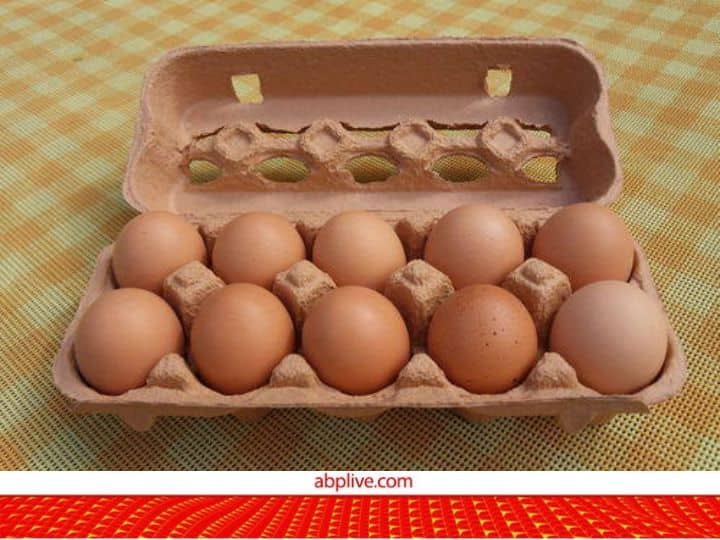brown egg is better for health or white both are healthy to our body Brown Egg: लोग कहते हैं देसी अंडे खाने चाहिए... ऐसा क्यों कहा जाता है? ये रहा जवाब 