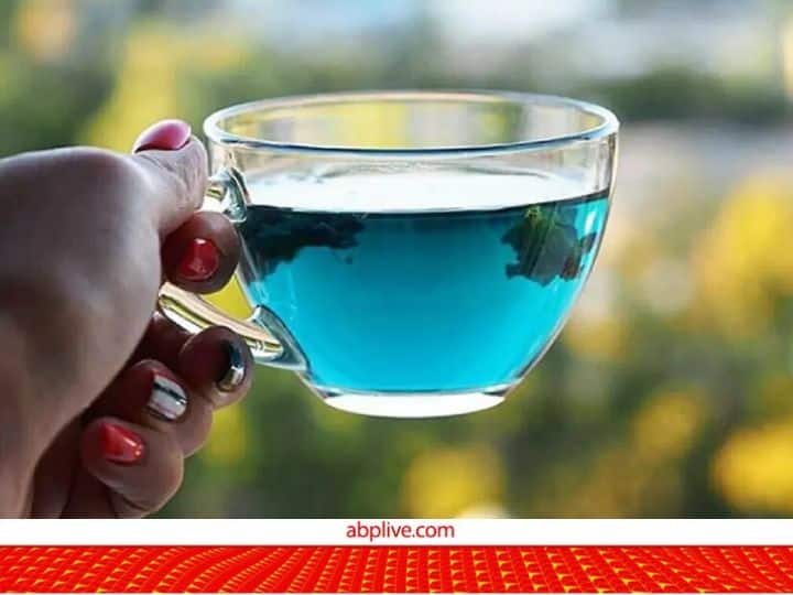 try Blue tea this time and see its amazing health benefits blue tea helps in weigh loss and maintain mental health Blue Tea: क्या कभी पी है नीली चाय? नहीं ! तो अब ट्राइ करें, स्वाद और सेहत दोनों के लिए है बेस्ट 