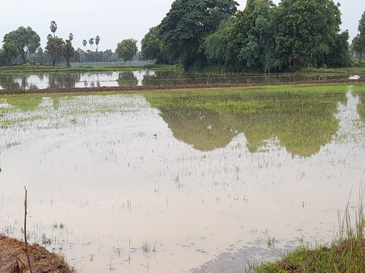 திருவாரூர்: நகை, பயிர் கடன் வழங்காமல் அலைக்கழிப்பு  - கூட்டுறவு கடன் சங்கம் மீது விவசாயிகள் புகார்