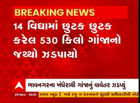 ભાવનગરના ખેંધારામાં SOGનું સફળ ઓપરેશન, 14 વિઘામાં છૂટક રીતે વાવેલ ગાંજો ઝડપાયો