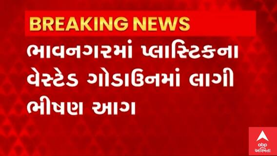 Bhavnagar: નવા બંદર તરફ જવાના રસ્તા પર ભીષણ આગ