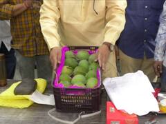 PHOTO : वाशी मार्केटमध्ये हापूस आंब्याची पहिली पेटी दाखल, दोन डझन आंब्यांचा दर...