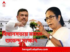 'আপনার বাবা সিনিয়র নেতা, তাঁকে সম্মান করি', শুভেন্দুকে বললেন মমতা