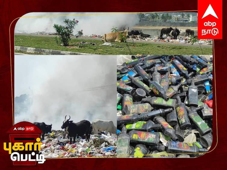 Pugar Petti Will the local bodies take action on the pile of rubbish piled up at the anaimalai mountain Pugar Petti Pugar Petti: மதுரை யானைமலை அடிவாரத்தில் மலையாய் குவியும் குப்பைகள்; உள்ளாட்சி அமைப்புகள் நடவடிக்கைகள் எடுக்குமா?