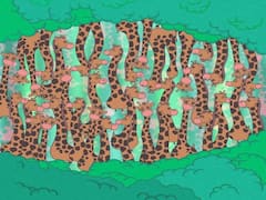 Viral: दर्जनों जिराफ के बीच छिपा है खतरनाक सांप, दम है तो 20 सेकंड में खोज निकालिए