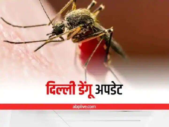 Delhi Dengue outbreak does not reduce even after onset of cold 243 new cases confirmed in week ANN Delhi Dengue: दिल्ली में ठंड की दस्तक के बाद भी डेंगू का प्रकोप  कम नहीं, एक हफ्ते में सामने आए 243 नए मामले