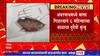 Ambernath : खेळता खेळता मासा गिळला, अंबरनाथमध्ये 6 महिन्याच्या बाळाचा दुर्देवी मृत्यू