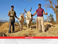 National Milk Day: भारत में गाय-भैंस की टॉप देसी नस्लें, जो दूध उत्पादन में नंबर-1 पर हैं, आज ही घर ले आएं