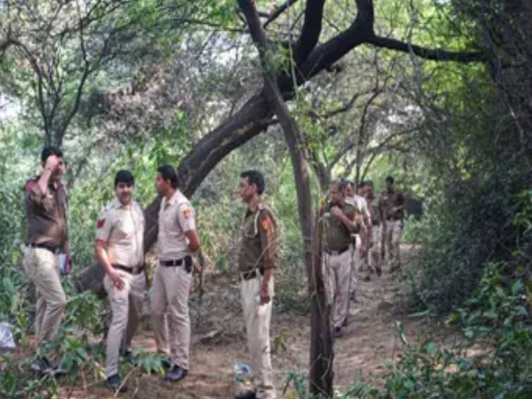 A trolley bag with human body parts found in Faridabad Aravalli hills forest probe on ஆரவல்லி மலைப்பகுதியில் சூட்கேஸில் வெட்டப்பட்ட உடல் பாகங்கள்.. ஷ்ரத்தா வழக்குடன் தொடர்புடையதா?