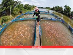 इस काम से 15 लाख तक कमा रहे किसान, 60% पैसा और क्रेडिट कार्ड भी दे रही सरकार, आप भी उठाएं लाभ