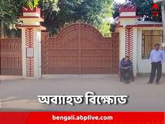 বিশ্বভারতীতে অব্যাহত অচলাবস্থা, উপাচার্যের পদত্যাগের দাবিতে অনড় আন্দোলনকারীরা