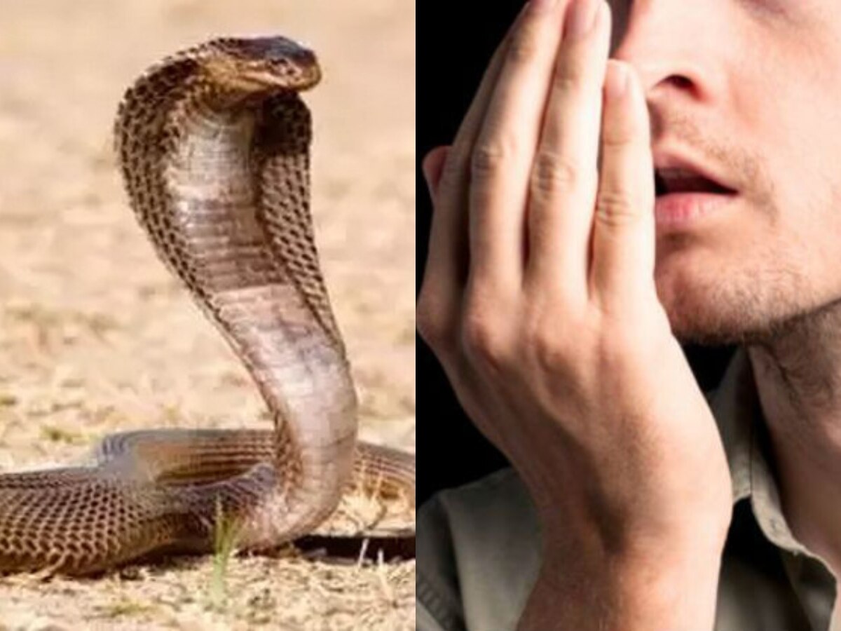 Erode Man Lost His Tongue After Snake Bite As Per Astrologer Advise ...