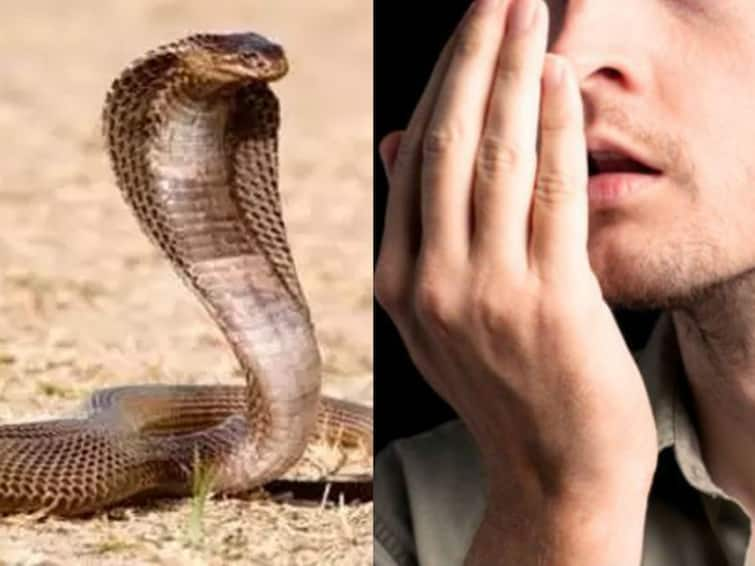 Erode Man Lost his Tongue after snake bite as per astrologer advise Superstitious : தினந்தோறும் கனவில் பாம்பு.. ஜோதிடரை நாடிய அரசு அதிகாரி... பரிகாரம் என்ற பெயரில் பலியான நாக்கு!