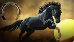 ઘરમાં આ જગ્યાએ લગાવી દો ઘોડાની નાળ, બની જશો માલામાલ