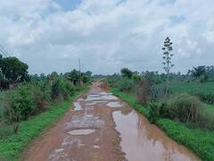 सूरजपुर में पुल बने 5 साल बीत गए लेकिन नहीं बनी रोड, कच्ची सड़क से दर्जनों गांव के लोग परेशान