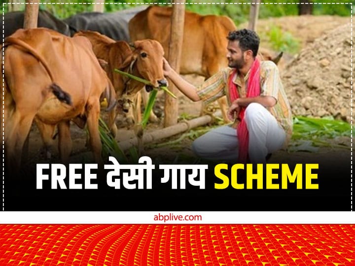 UP Govt Provide Free Desi cow Along with 900 rupees Under Sahbhagita Yojana Promoting Natural Farming Sahbhagita Yojana: लग गई लौटरी....मुफ्त में एक-एक देसी गाय, देखभाल के लिए 900 रुपये भी मिलेंगे, ऐसे उठाएं लाभ