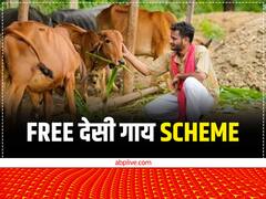 लग गई लौटरी.....मुफ्त में एक-एक देसी गाय, देखभाल के लिए 900 रुपये भी मिलेंगे, ऐसे उठाएं लाभ