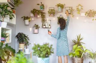 Lucky Plants For House: મનીપ્લાંટ કરતાં પણ વધુ શુભ છે આ 5 છોડ, થશે પૈસાનો વરસાદ