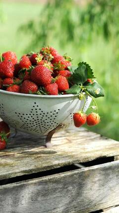 Strawberry benefits : हिवाळ्यात लालबुंद स्ट्रॉबेरी खाण्याने मिळतील 'हे' आश्चर्यकारक फायदे