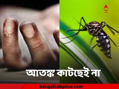তাপমাত্রা কমলেও আতঙ্ক বাড়াচ্ছে ডেঙ্গি, আক্রান্ত হয়ে আরও একজনের মৃত্যু