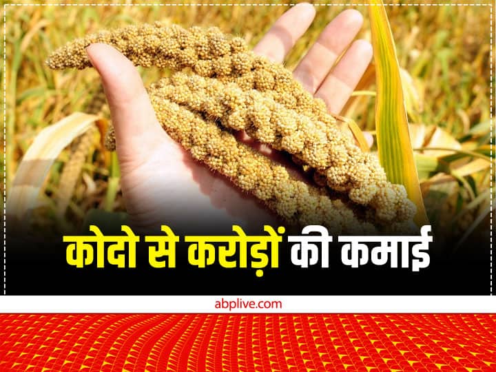IYOM 2023 Chhattisgarh Farmers earned 1.26 crores from Kodo, Kutki, Ragi Millets Farming Millet Mission: कोदो, कुटकी, रागी से इस राज्य ने कमा लिए करोड़ों रुपये, आप भी जानें कैसे हुआ ये कमाल
