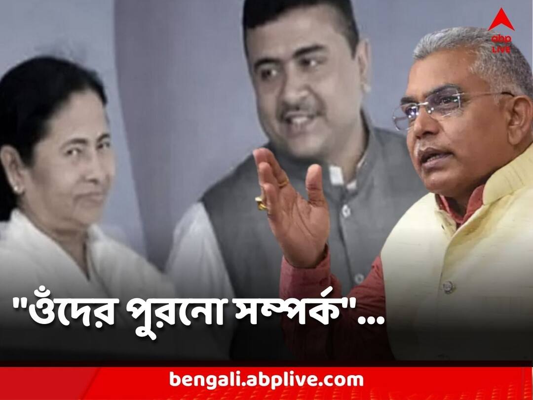 Dilip Ghosh Comments on mamata banerjee suvendu adhikari meet says Their old relationship Dilip Ghosh: 'ওঁদের পুরনো সম্পর্ক, অনেকেই কালীঘাটে গিয়ে প্রণাম করে আসে', মমতা-শুভেন্দু সাক্ষাৎ প্রসঙ্গে মন্তব্য দিলীপের