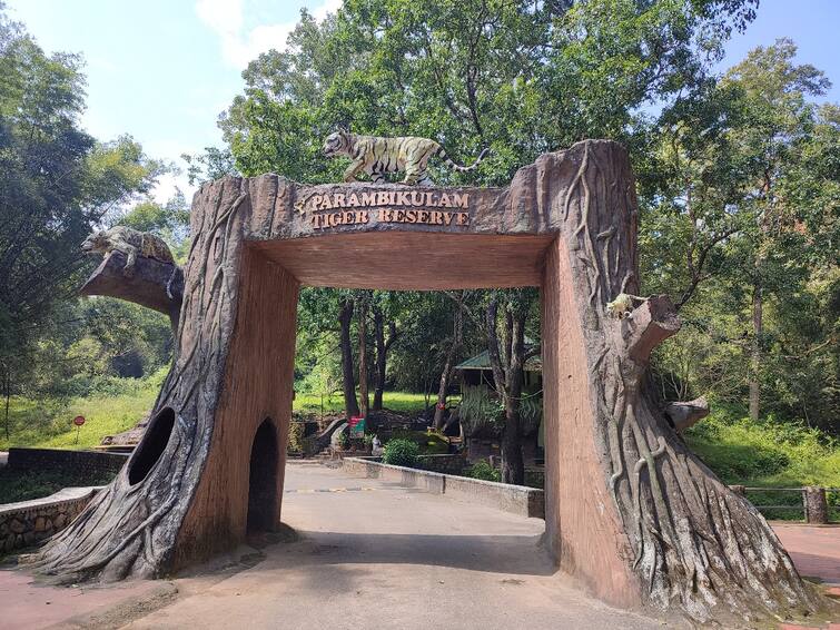 Parambikulam Tiger Reserve Information full details known TNN ‘ஆச்சரிய வனம், அதிசய அணைகள், ஆதி கன்னிமாரா தேக்கு’ - பரம்பிக்குளம் சுற்றுலா விபரங்கள் இதோ..!